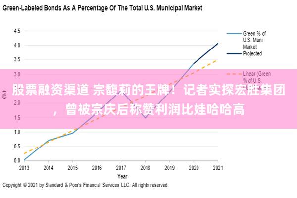 股票融资渠道 宗馥莉的王牌！记者实探宏胜集团，曾被宗庆后称赞利润比娃哈哈高