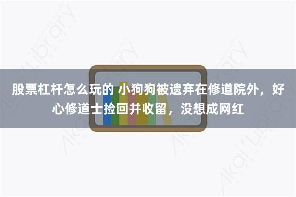 股票杠杆怎么玩的 小狗狗被遗弃在修道院外，好心修道士捡回并收留，没想成网红