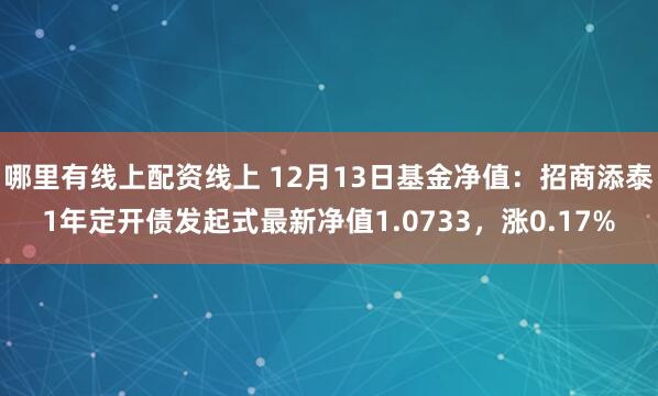 哪里有线上配资线上 12月13日基金净值：招商添泰1年定开债发起式最新净值1.0733，涨0.17%