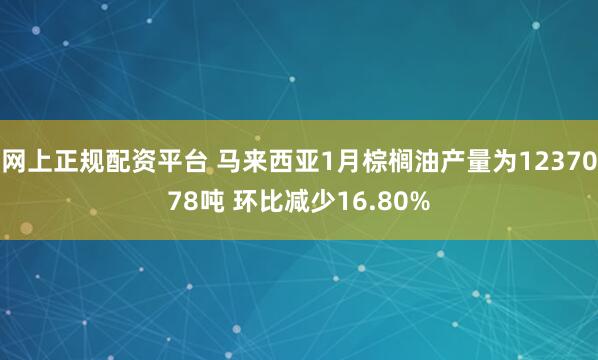 网上正规配资平台 马来西亚1月棕榈油产量为1237078吨 环比减少16.80%