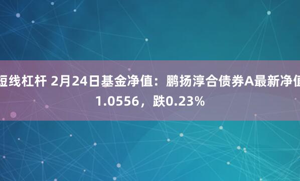 短线杠杆 2月24日基金净值：鹏扬淳合债券A最新净值1.0556，跌0.23%